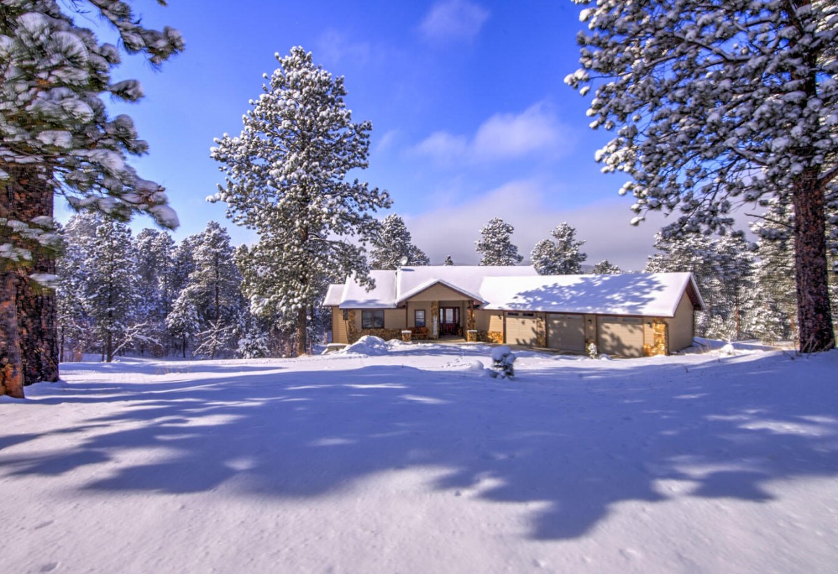 Dakota Pines in the snow