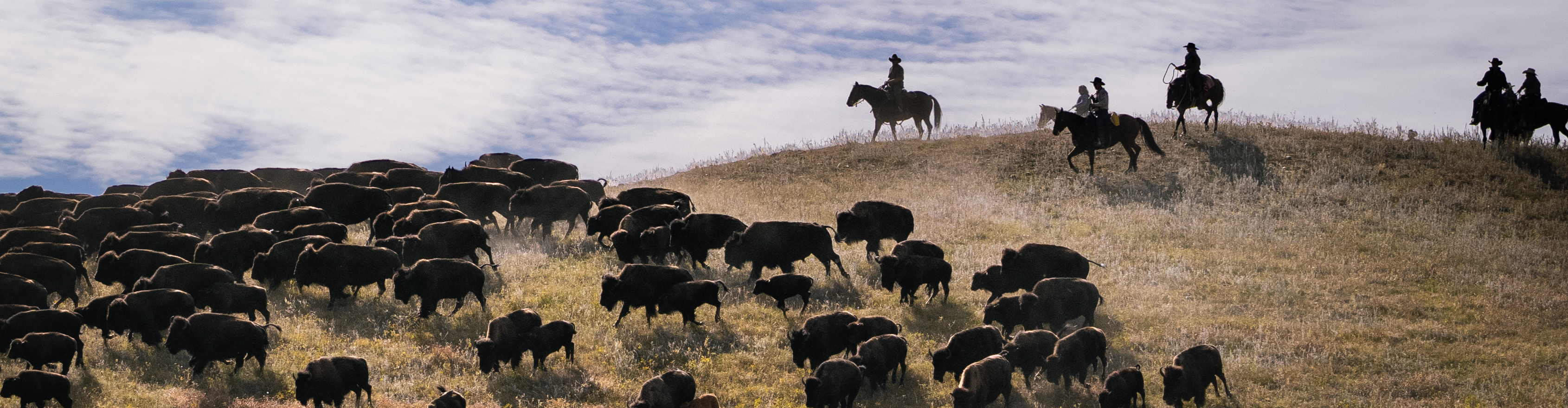 Black Hills Premier Vacation Homes